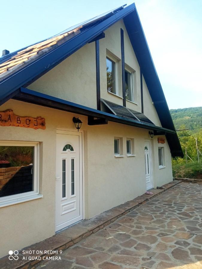Zavojsko Jezero - Vila Jezero Pirot Ngoại thất bức ảnh